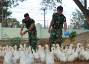Wujudkan Swasembada Pangan Nasional, Rindam XIV/Hsn Dukung Pemerintah Program Makan Siang Bergizi