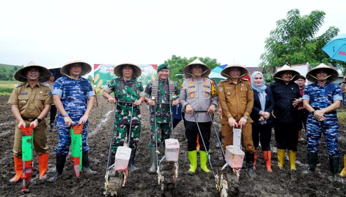 Dukung Swasembada Pangan 2025, Pangdam XIV/Hsn dan Forkopimda Sulsel Laksanakan Penanaman Jagung Serentak 1 Juta Hektare
