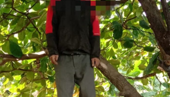 Polsek Rappocini Masih Selidiki Penyebab Kematian Pria yang Ditemukan Tewas Tergantung di Pohon