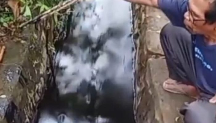 Penegak Hukum Diminta Beri Sanksi PT Vale, Yusran: Dampak Pencemaran Minyak Hitam pada Ekosistem Sensitif