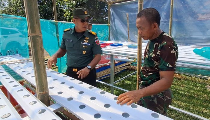 Sinergi TNI-AD Kanminvetcaddam XlV/Hsn dan Akademisi, Wujudkan Ketahanan Pangan di Maros